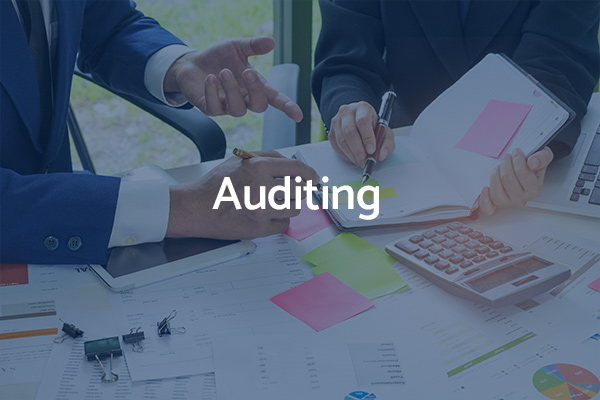 Auditing services