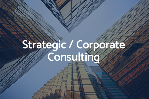Strategy Corporate Consulting services
